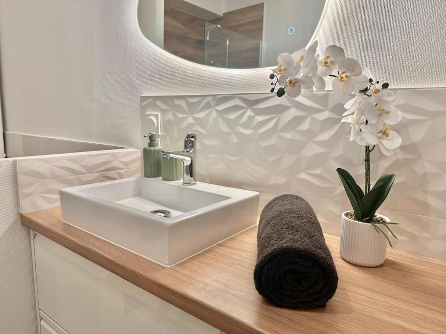 L'Orchidee - Netflix - Wi-Fi - Proche Centre Daire Troyes Dış mekan fotoğraf